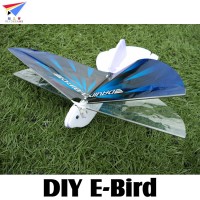 FLYDREAMS (FD-E-BIRD) DIY E-Bird